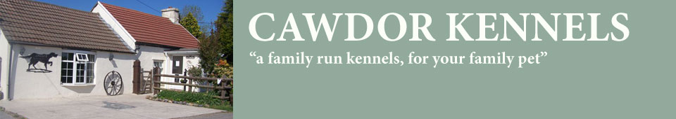 cawdor kennels
